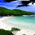 Посещение знаменитого острова Ко Лан в Таиланде может стать платным для туристов