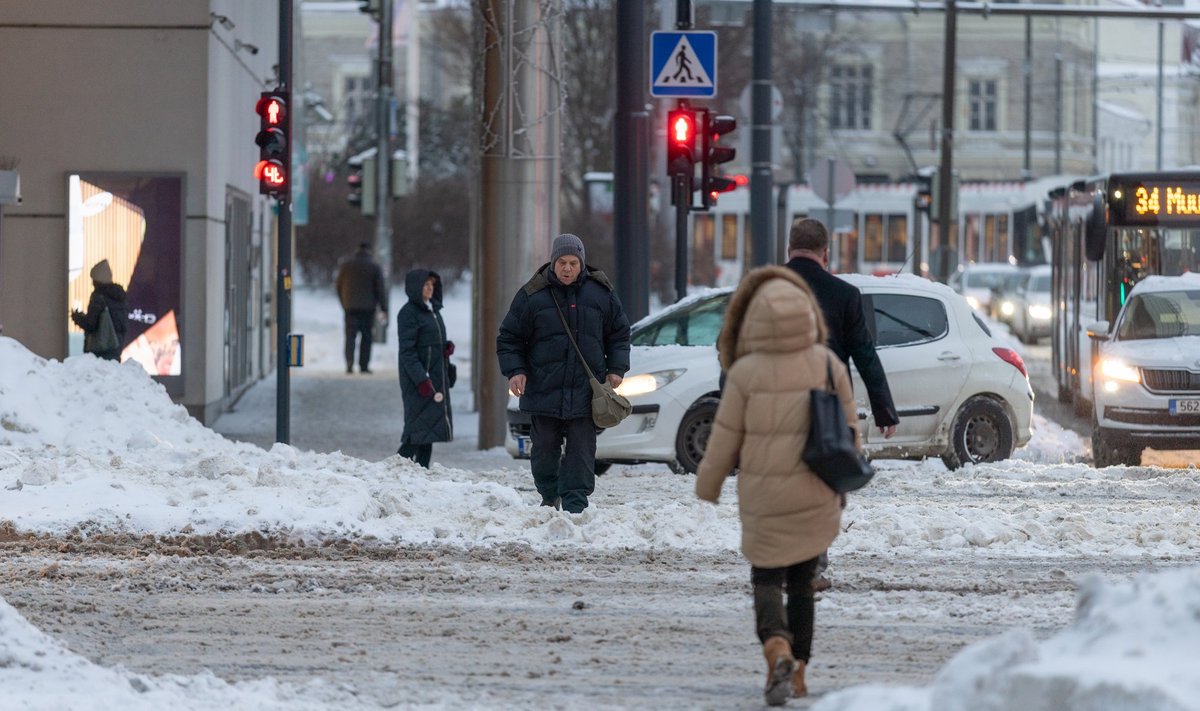 Таллинн утопает в снегу