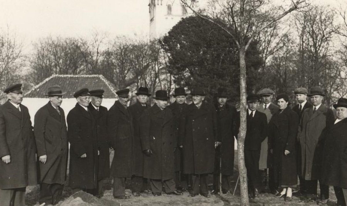 1. mail 1938 anti Keila alevile linnaõigused, mida tähistati pidulikult 13. mail. Sel puhul istutas Keila esimene linnapea ning viimane alevivanem Johann Tähe Keskväljakul asuva kolmnurkse haljasala keskele tamme. (Foto: Harjumaa Muuseum)