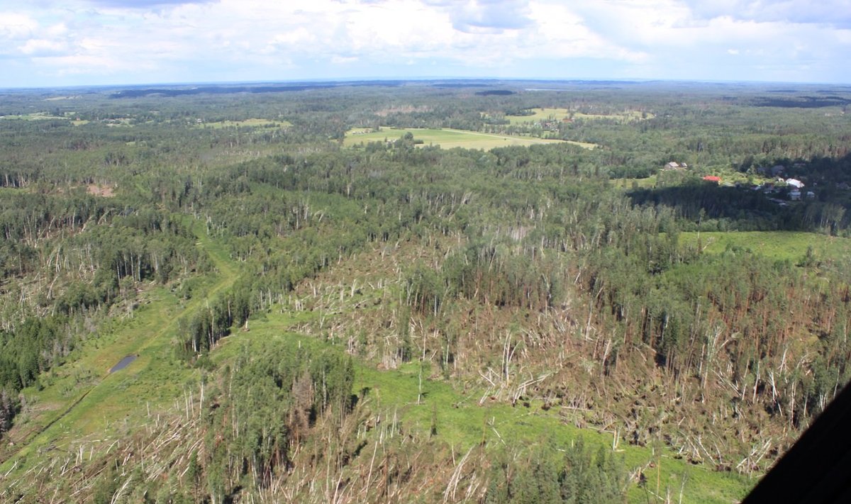 Tormi tekitatud kahju Lõuna-Eesti metsades
