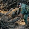 Lootus California mudavooludest ellujäänuid leida on üha ahtam