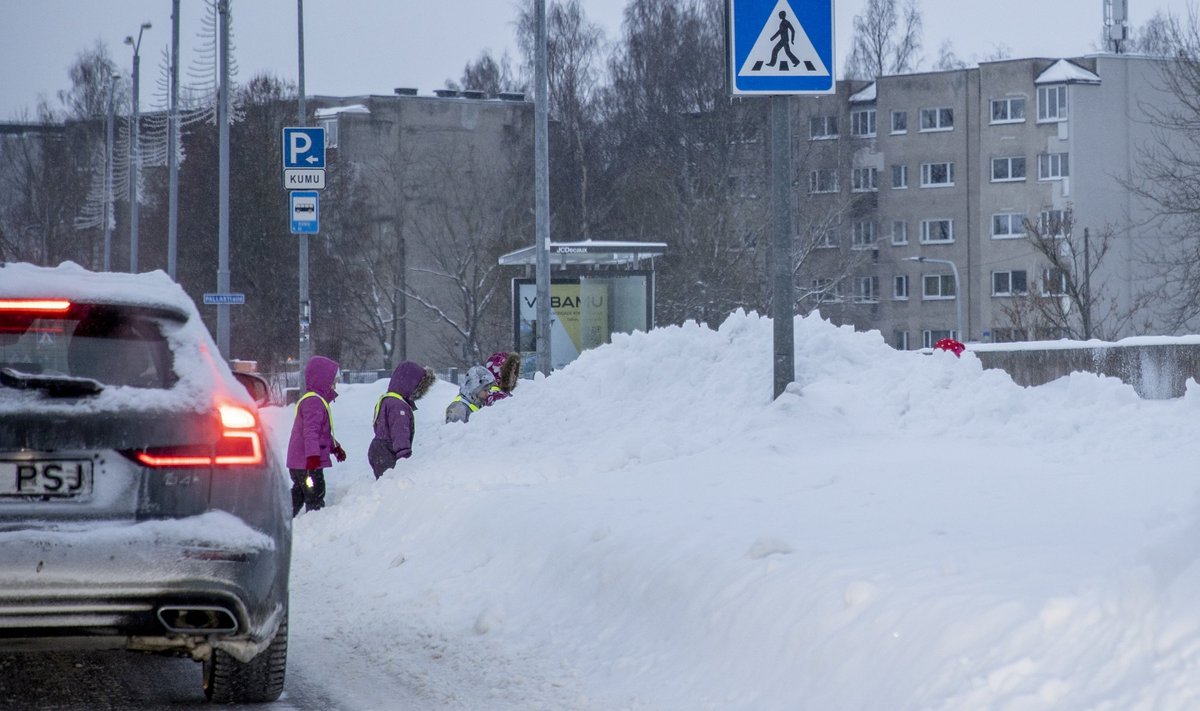Ülekäigurada Tallinnas pärast lumetormi Birgit.