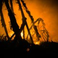 Põlvamaal põles maamaja sisuliselt maani maha