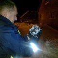 FOTO: Politseinikud päästsid siili külmumisest