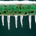 NÕUANDEID | Torude külmumist saab ennetada! Mida aga teha juba külmunud torudega?