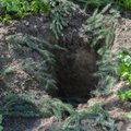 Venemaa püüab Karjalas välja kaevata „soomlaste massiliselt tapetud sõjavange”