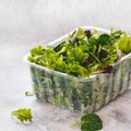 NIPP | Kuidas karbi või pakiga ostetud salatisegu kauem värskena hoida? 