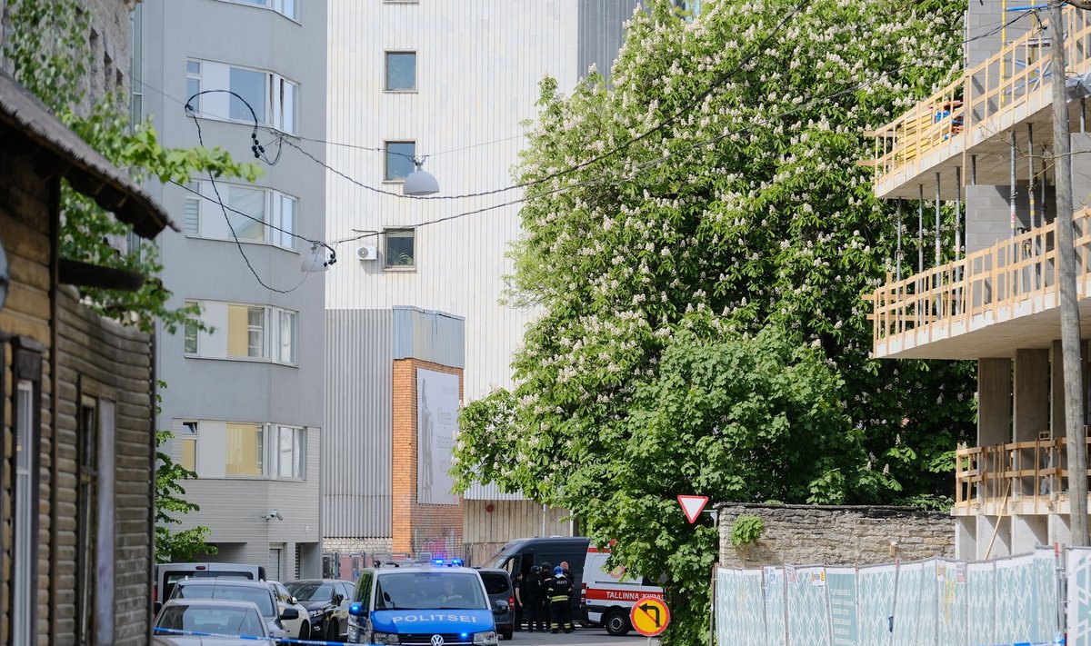 Pommirühm Tallinnas Kollasel tänaval