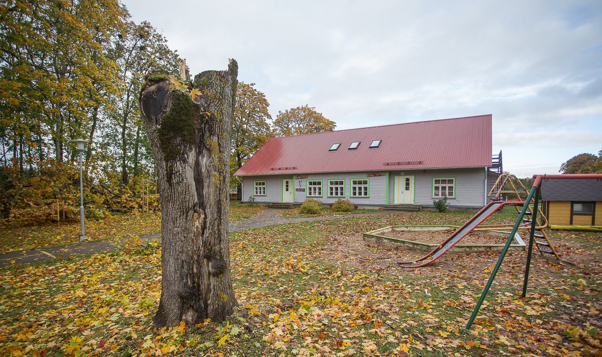 Tornimäe lasteaia mänguväljakul võttis Heiki Hanso firma puu maha oma kulul, kuid ülejäänud kolme puu raie eest esitas Pöide vallale arve.