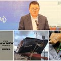 Четыре загадочных китайца: все, что мы знаем о владельцах корабля, который, вероятно, повредил Balticconnector