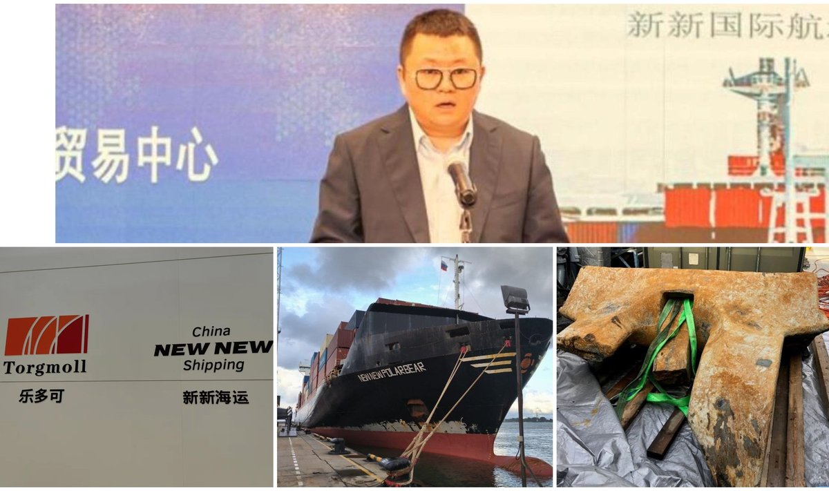 Компания New Shipping Line основана в Китае, но ее успех связывается с деятельностью в России.