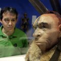 Неандертальцы и денисовцы вступали в интимную связь. Умершая 50 тыс. лет назад девушка доказала это
