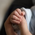 В Маарду упростили порядок получения пособия по рождению ребенка