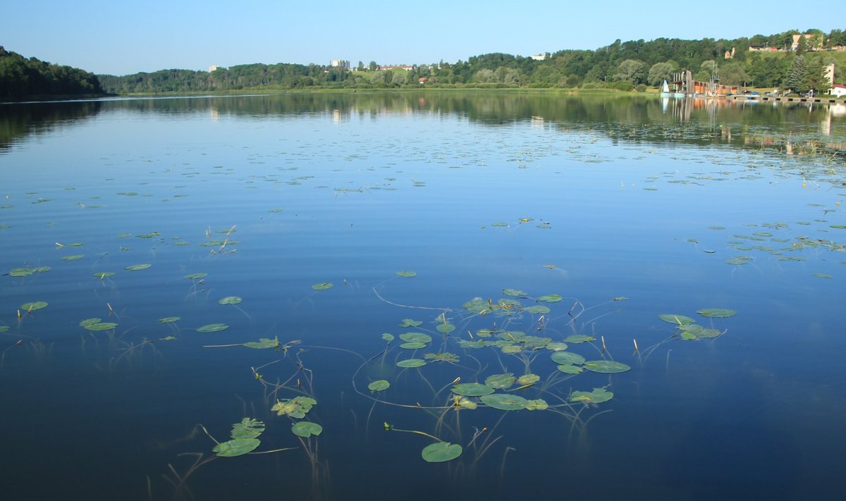 Viljandi järv