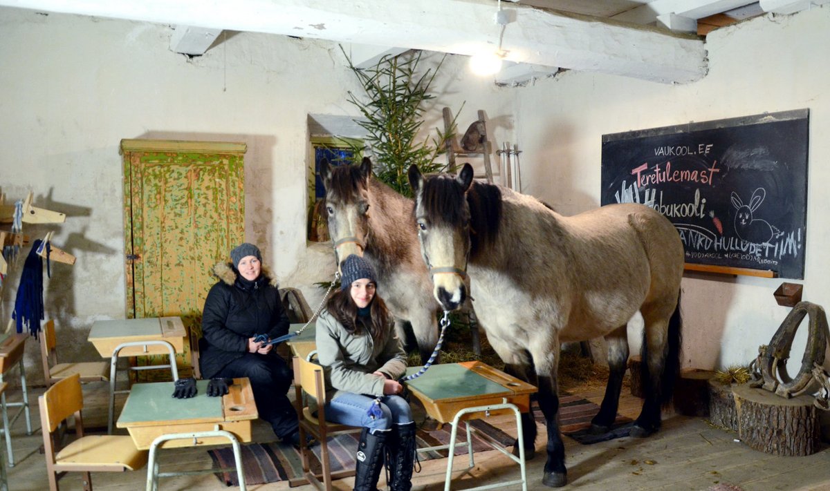 Hobukoolis on õpetajateks hobused, Annika ja Nora aga tõlgid loomade ja laste vahel. | Fotod: Aron Crasta, erakogu