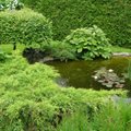 Inglisepärasesse aeda rajatud kaunis veesilm
