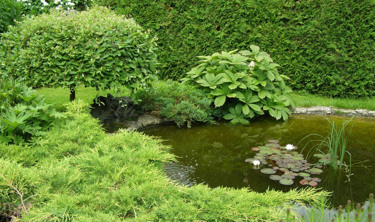 Inglisepärasesse aeda rajatud kaunis veesilm
