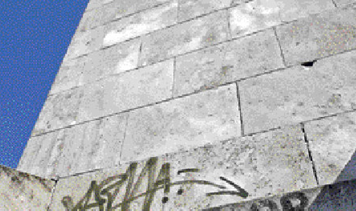 Maarjamäe obelisk (1960, arhitekt Mart Port) ületas temasse kätketud ideoloogia oma puhta vormiga. Ent ikka ja jälle kerkib küsimus, mis on monumendi idee.
