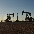 Ühendemiraadid teatasid suurest nafta- ja maagaasileiust