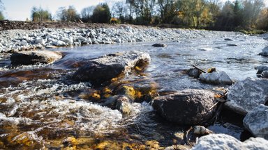 Ajalooline lõhejõgi vabanes järjekordsest paisust. Suurem rännuruum tagab kaladele paremad elutingimused