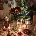 ФОТО: Искусствовед Эвелина Ведом показала JANA, как она украсила дом к Новому году и раскрыла 5 секретов праздничного уюта
