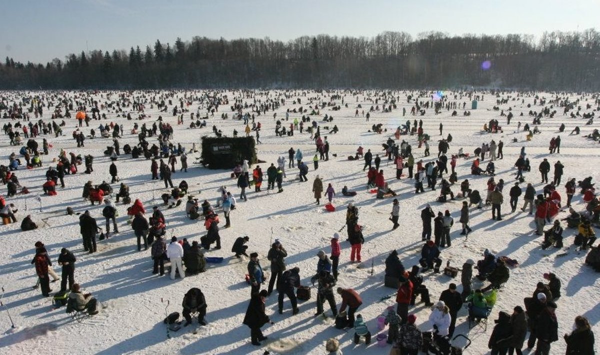 Viljandi järvel toimus "Kuldkala" võistlus