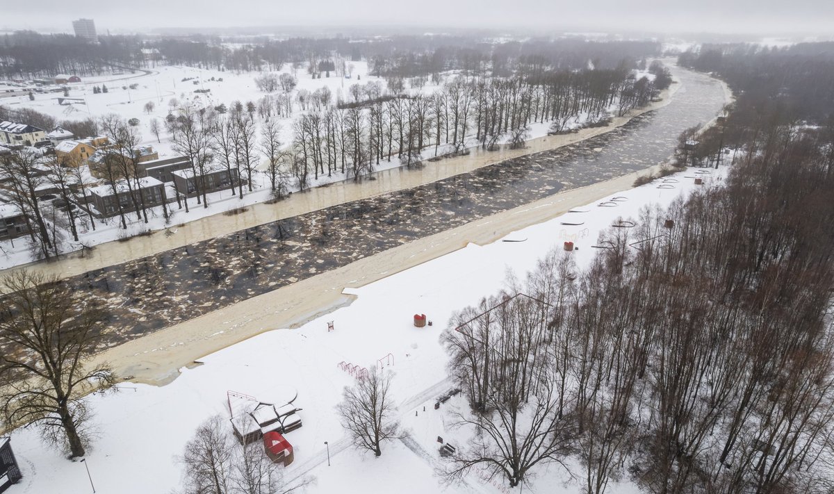 Emajõe veetase 14.01.25