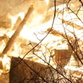 В Австралии крупные пожары: 17 человек погибло, сгорели сотни домов