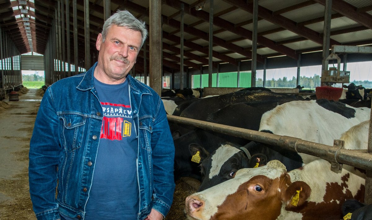 Tuntud Jõgevamaa piimakarjakasvataja, aasta põllumees 2016 Lembit Paal hindab põllumeeste hetkeseisu väga nördimust tekitavaks. 