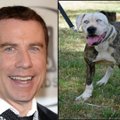 GALERII | Hämmastav sarnasus! Vaata ja naera, millised näevad välja tuntud filmitegelased ja nende loomadest teisikud!