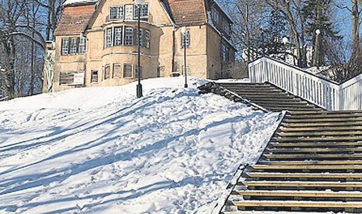 Trepimägi — 158 astet talve. Foto: Krista Kull