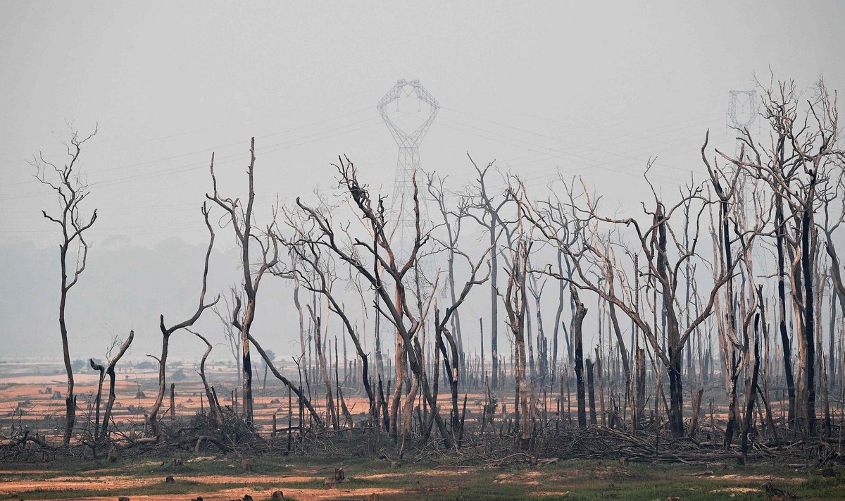 Põlenud vihmamets Porto Velho linna lähistel Amasoonias.