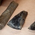 Inimesed hakkasid tööriistu kasutama juba 3,4 miljoni aasta eest