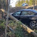 ФОТО: На шоссе Таллинн-Тарту автомобиль съехал с дороги и врезался в дерево