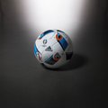 Delfi loosib välja 6 ametlikku UEFA Euro jalgpalli!
