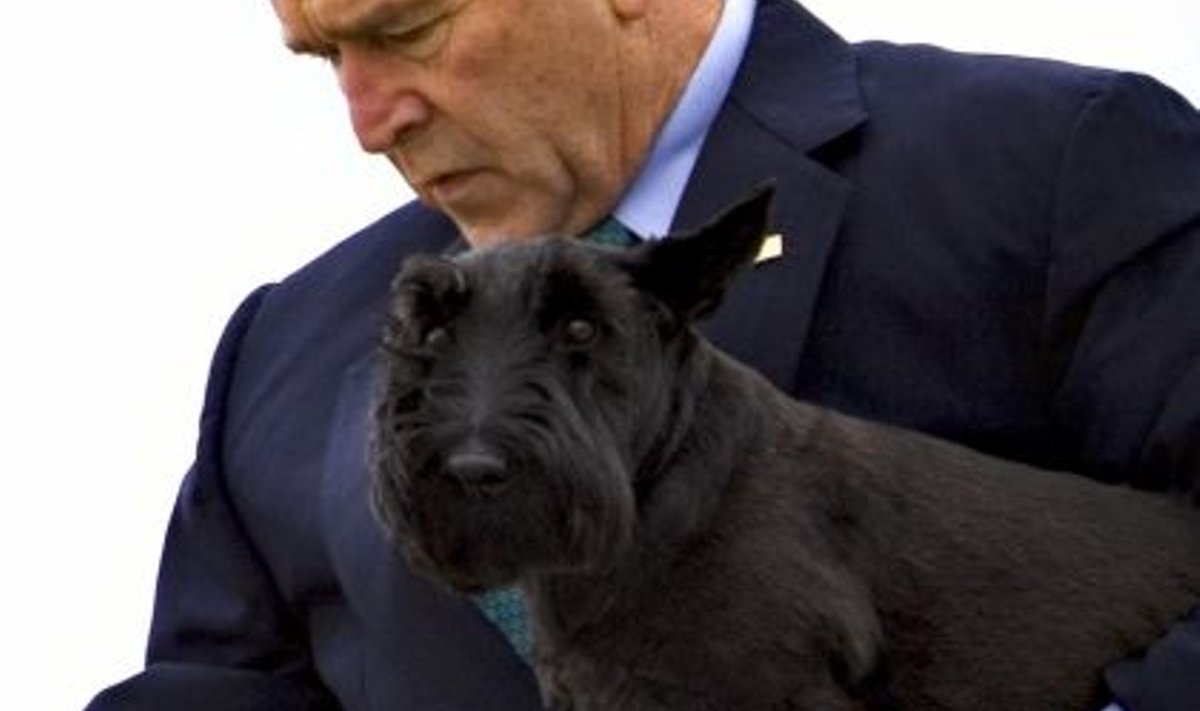 George W. Bush koos koer Barneyga