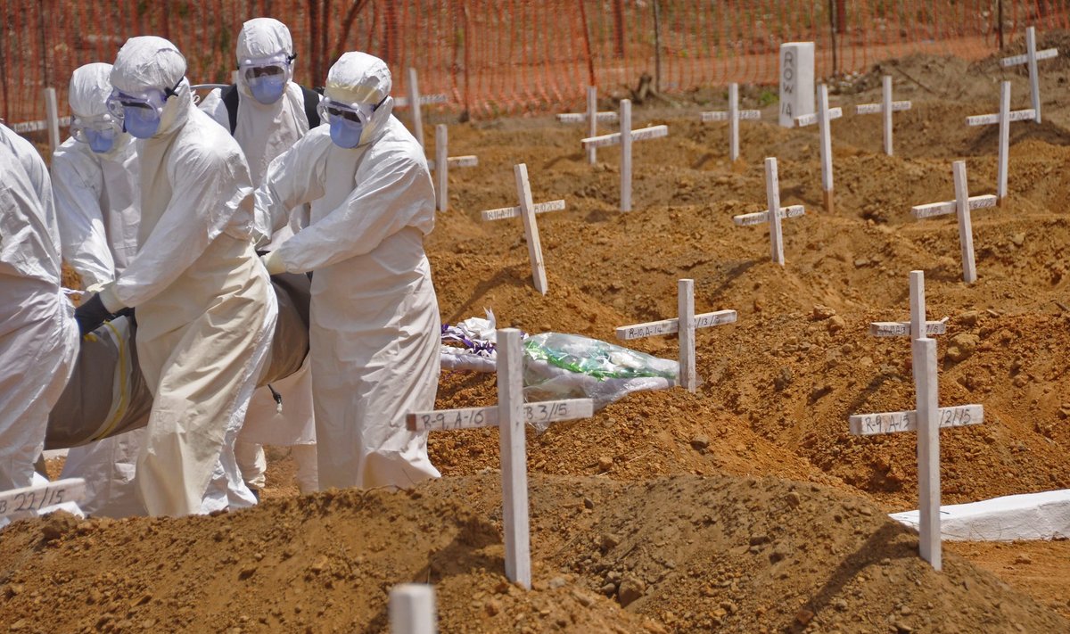 Libeerias jõudis Ebola epideemia tõttu haiglatesse ravile ja vaktsineerima 15% vähem inimesi kui tavaliselt. Vaktsineerimata on 650 000 last. Arvestades Aafrikas levivate haiguste fataalsust tähendab see umbes 10 000 surma. Seda on pea sama palju kui Ebola surmasid kokku.
