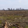 Ökoloog: loodust hävitatakse Rail Balticu projekti jaoks väga suurel alal  