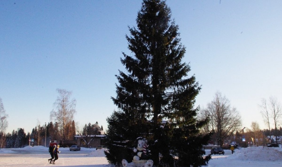 Otepää Keskväljakul asuv jõulupuu ja vapiloom ootavad Karulaane jenka tantsijaid. Foto: Otepää Vallavalitsus