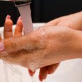 Puust ja punaseks: kiire kraani all loputamine ei ole piisav — õpi oma käsi õigesti pesema!