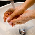 4 nõuannet, kuidas praegusel viirushooajal kõvasti vatti saavad käed puhtad ja terved hoida