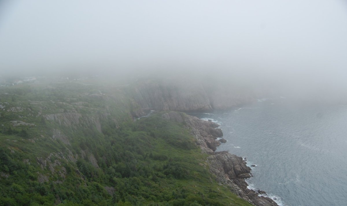 Newfoundland (foto: Jeremy T. Hetzel / CC BY-SA 4.0 / Wikimedia Commons)