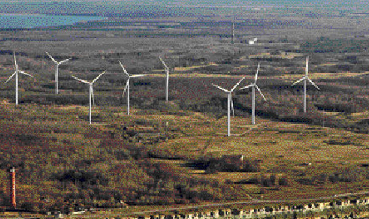 Tuuleparkide rajamiseks ei sobi igasugune maa ja sobivast huvituvad nii erafirmad kui ka Eesti Energia. 