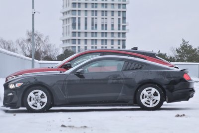 Ford Mustang ja Mach-E