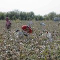 Usbekistanis mürgitati teadmata põhjusel üle 70 lapse