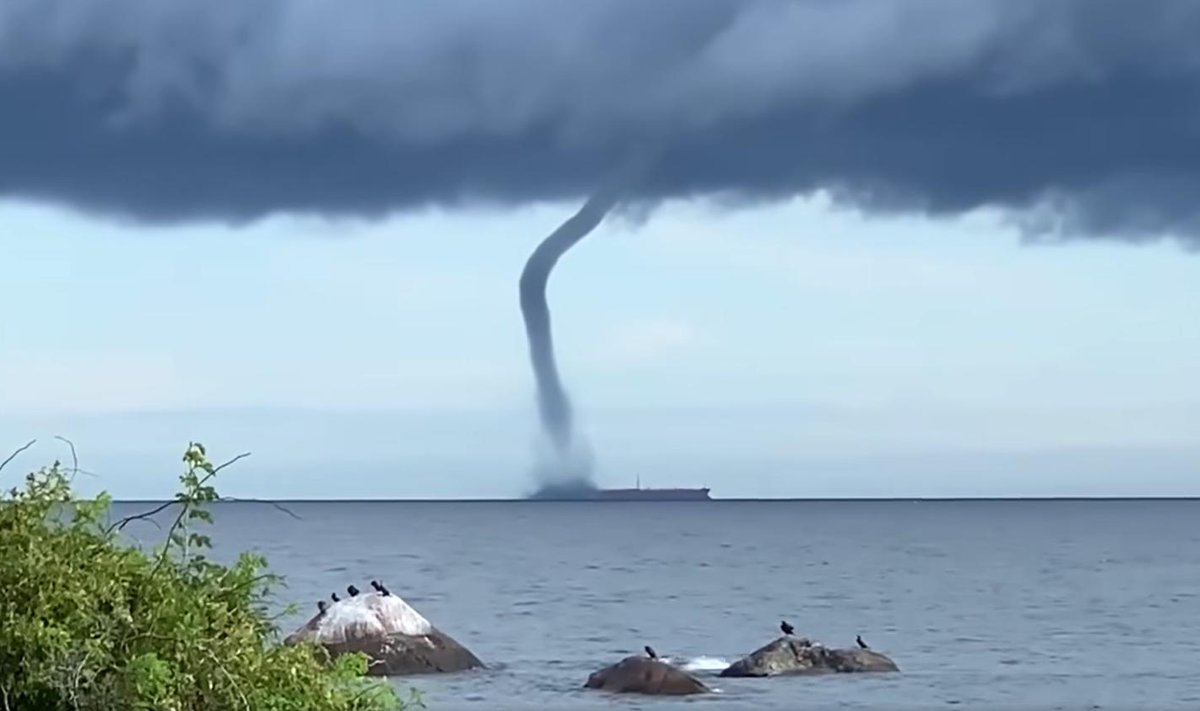 Keri saare lähistel märgati kokku kuut vesipüksi, suurim neist jäi ka videosse.