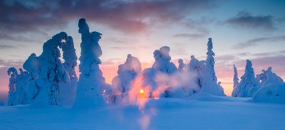 Soomes on mägesid, paljud neist nii 500–600 meetri kõrgused, mis pole puude kasvuks liiga kõrged, aga piisavalt kõrged, et seal oleks justkui oma kliima. Madalamalt tulev niiskus külmub ja ladestub puudele, nii et nad saavad talveks üleni valge rüü. Fototehnika: • Nikon D3x + Nikkor 24-70mm F2,8 @ 29mm. F22, 0,4s, ISO 100.