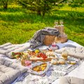 Pereköök | Söödav snäkivaagen, hõrk purgitort ja nõuanded edukaks piknikuks