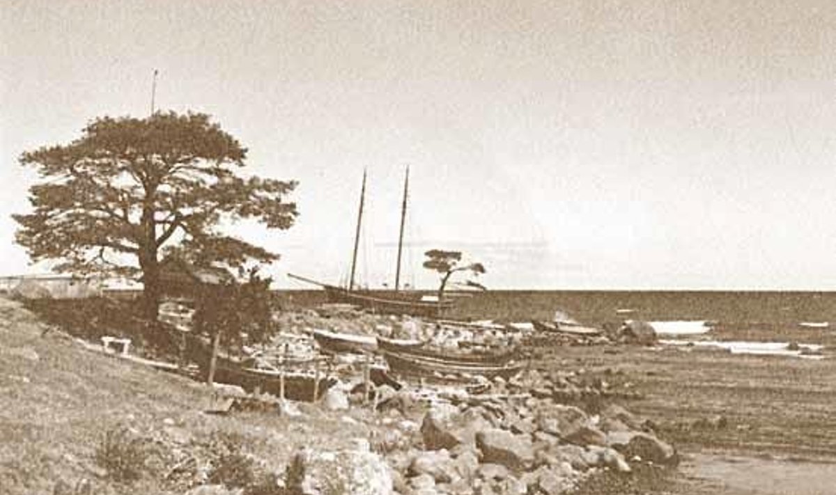 Vaade rannamaastikule 20. sajandi alguses