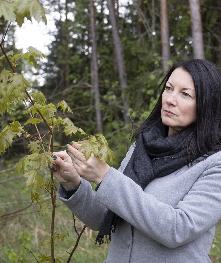 Eesti Metsasertifitseerimise Nõukogu juht Eve Rebane kinnitab, et PEFC standard hõlmab kõikide metsasektori jaoks vajalike õigusaktide põhimõtteid ning suunab metsaomanikku olema kursis asjakohaste nõuetega.